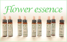 Flover essence